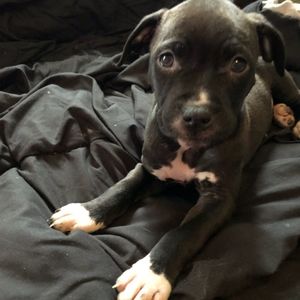 Meet your Posher, Jim